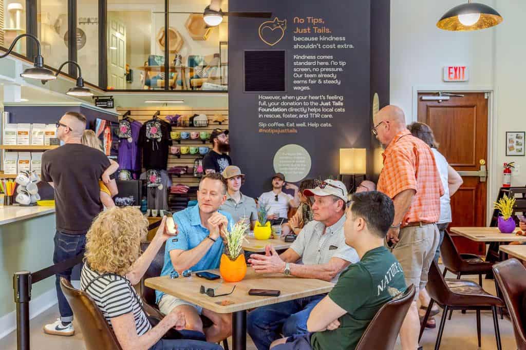 Customers enjoying coffee and snacks at Biscuits & Beans Cat Café.