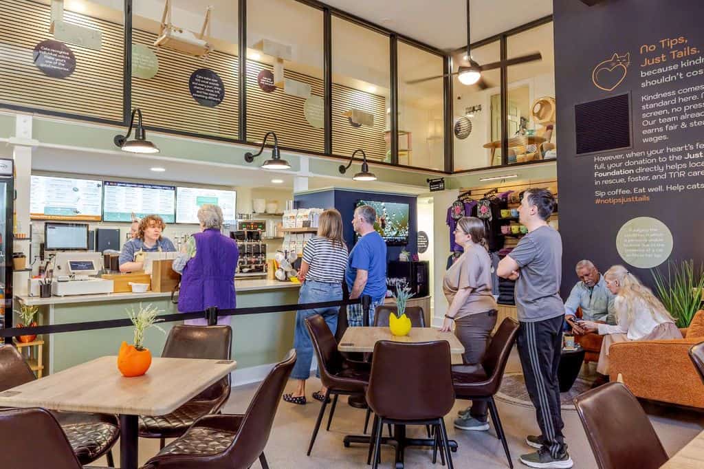Customers Ordering at Counter at Biscuits and Beans