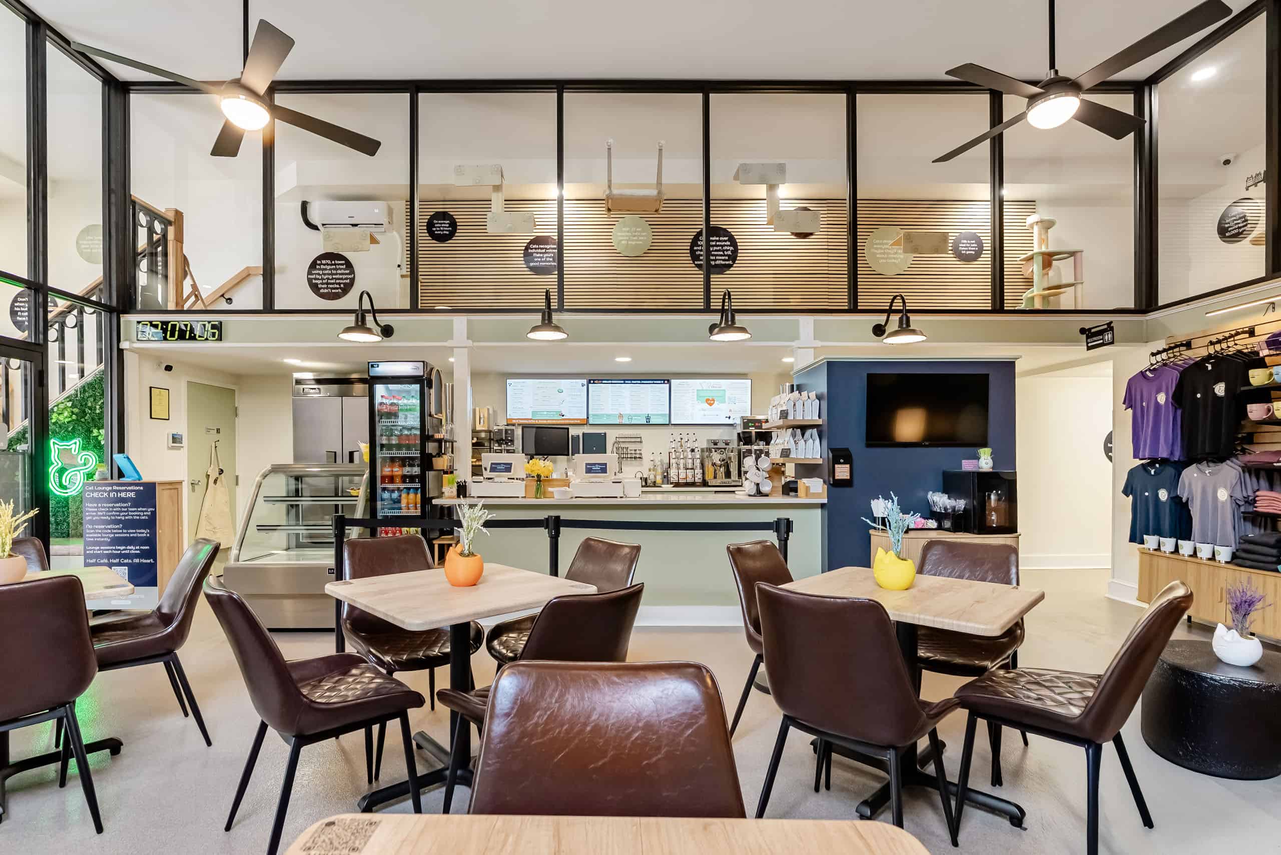 Modern cat café interior with cozy seating, tables, and a view of the kitchen.