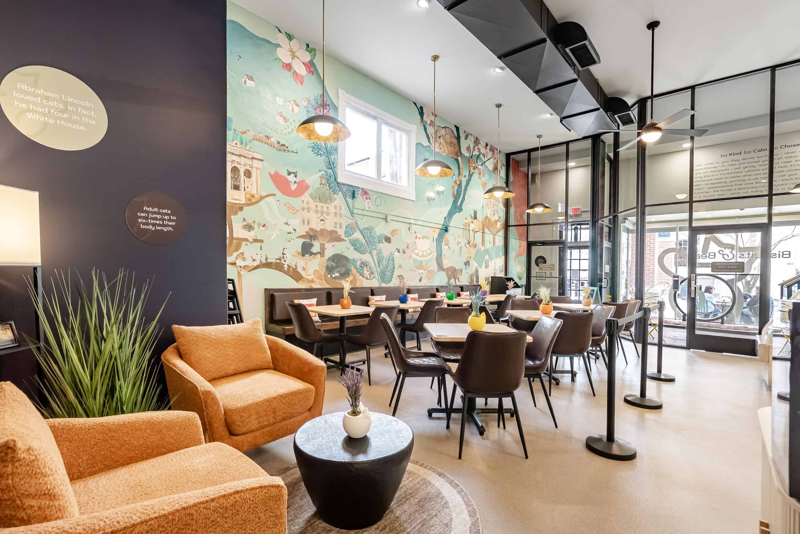 Bright and inviting cat café with colorful wall art and comfortable seating.