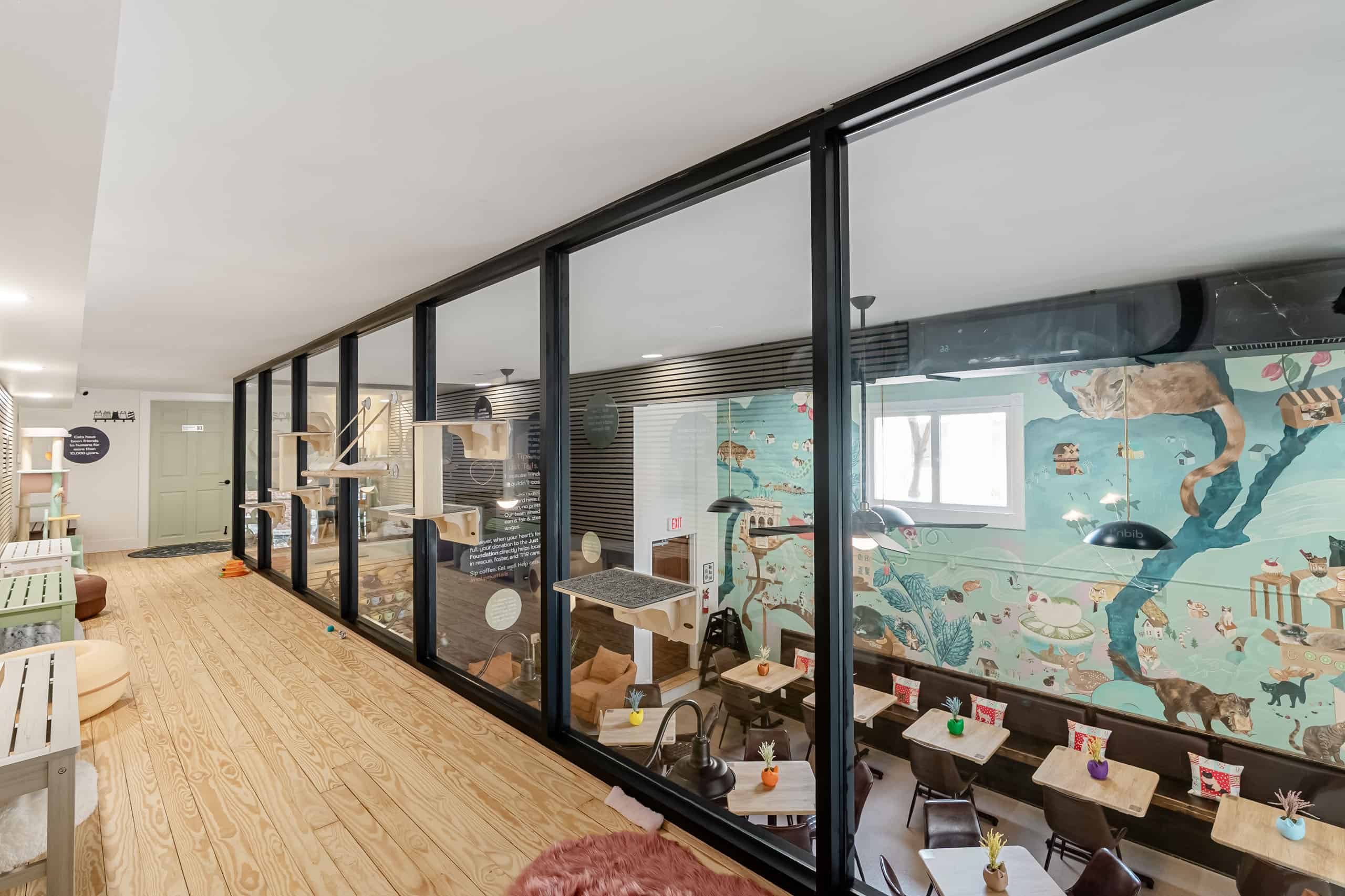 Bright indoor view of Biscuit & Beans Cat Café with cozy seating and playful cat murals.