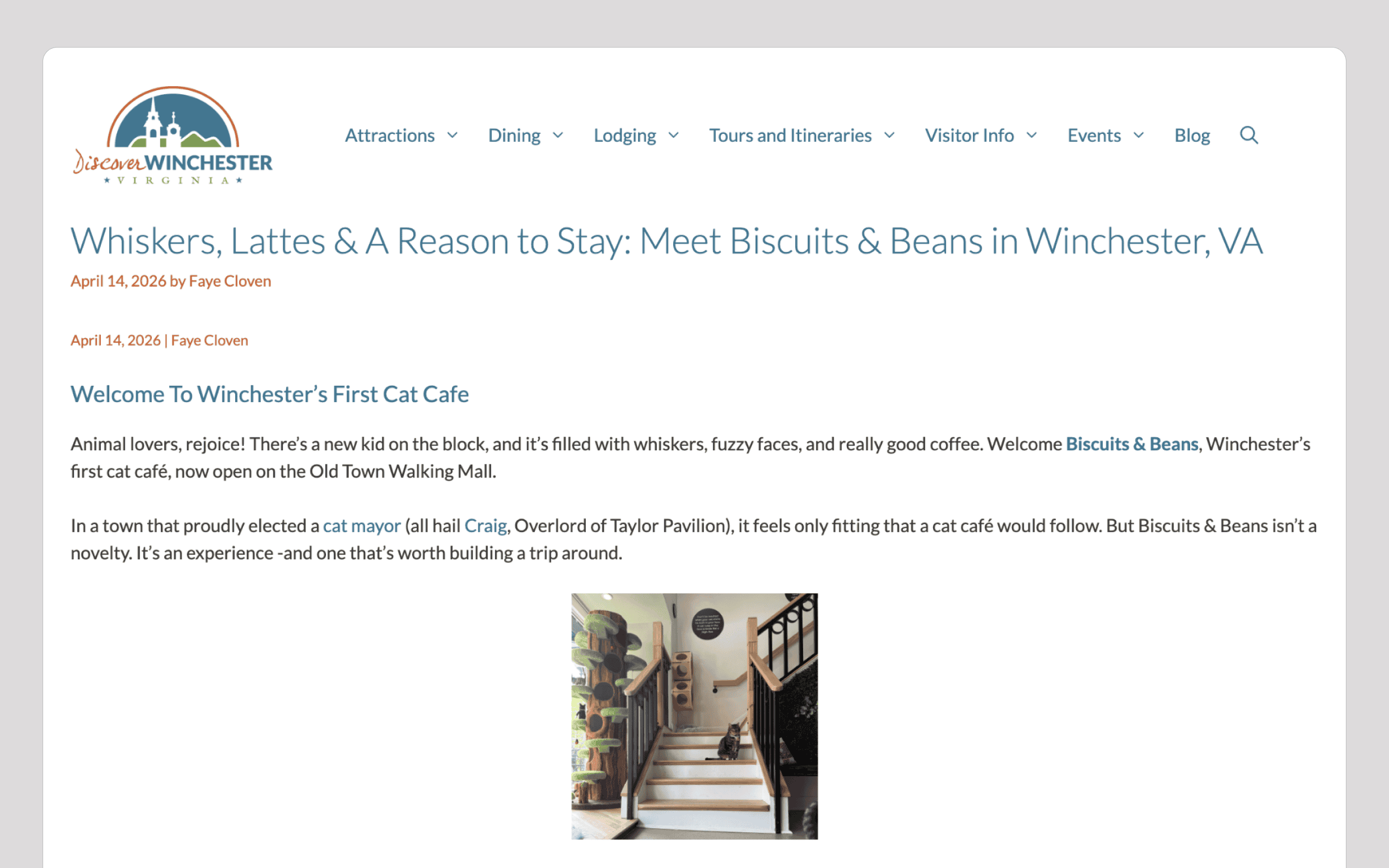 Biscuits & Beans Cat Café Cozy interior of Biscuits & Beans Cat Café with stairs and cat-friendly decor.