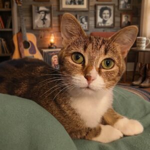 Dolly Pawton