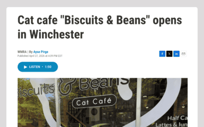 WMRA: Cat Cafe Opens in Winchester