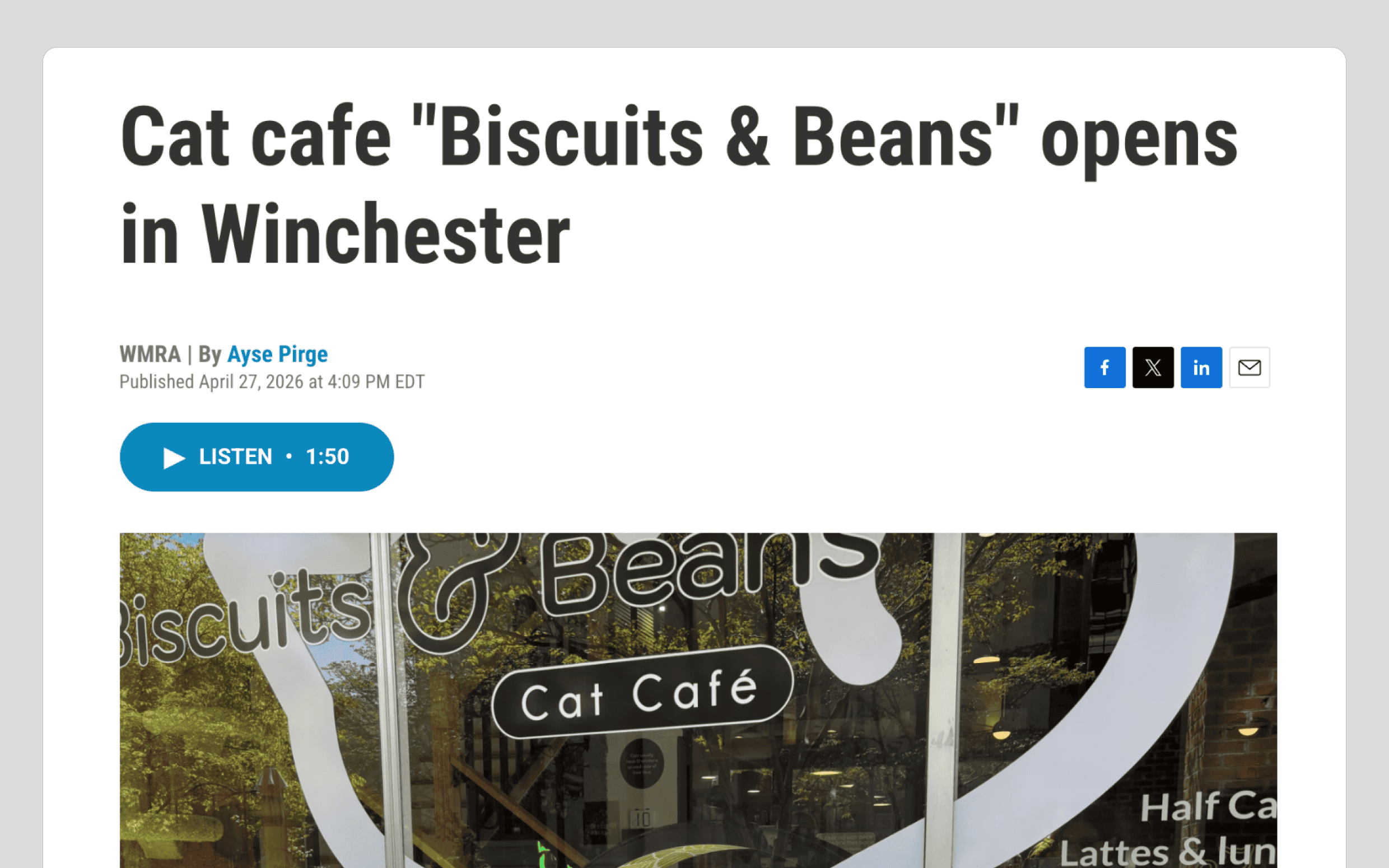 Cozy Biscuit & Beans Cat Café in Winchester with cats and coffee ambiance.