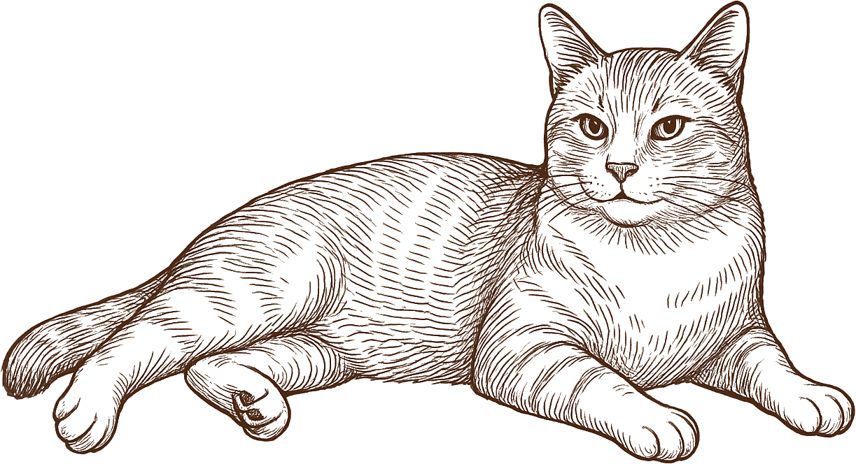 relaxing cat